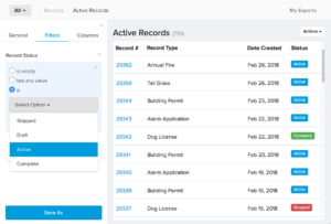 Active Record Reporting | ViewPoint Cloud ePermitting